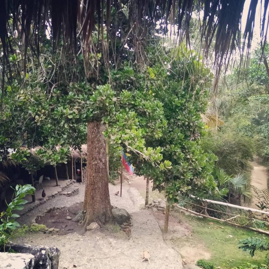 La Cima Tayrona 호텔 산타마르타 외부 사진