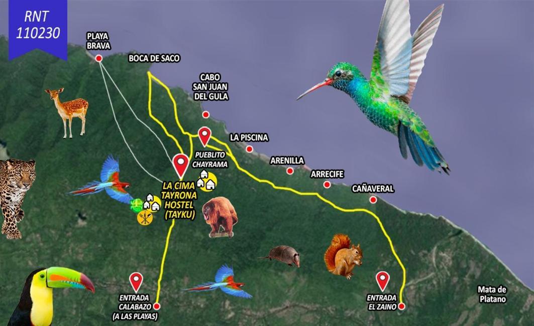 La Cima Tayrona 호텔 산타마르타 외부 사진