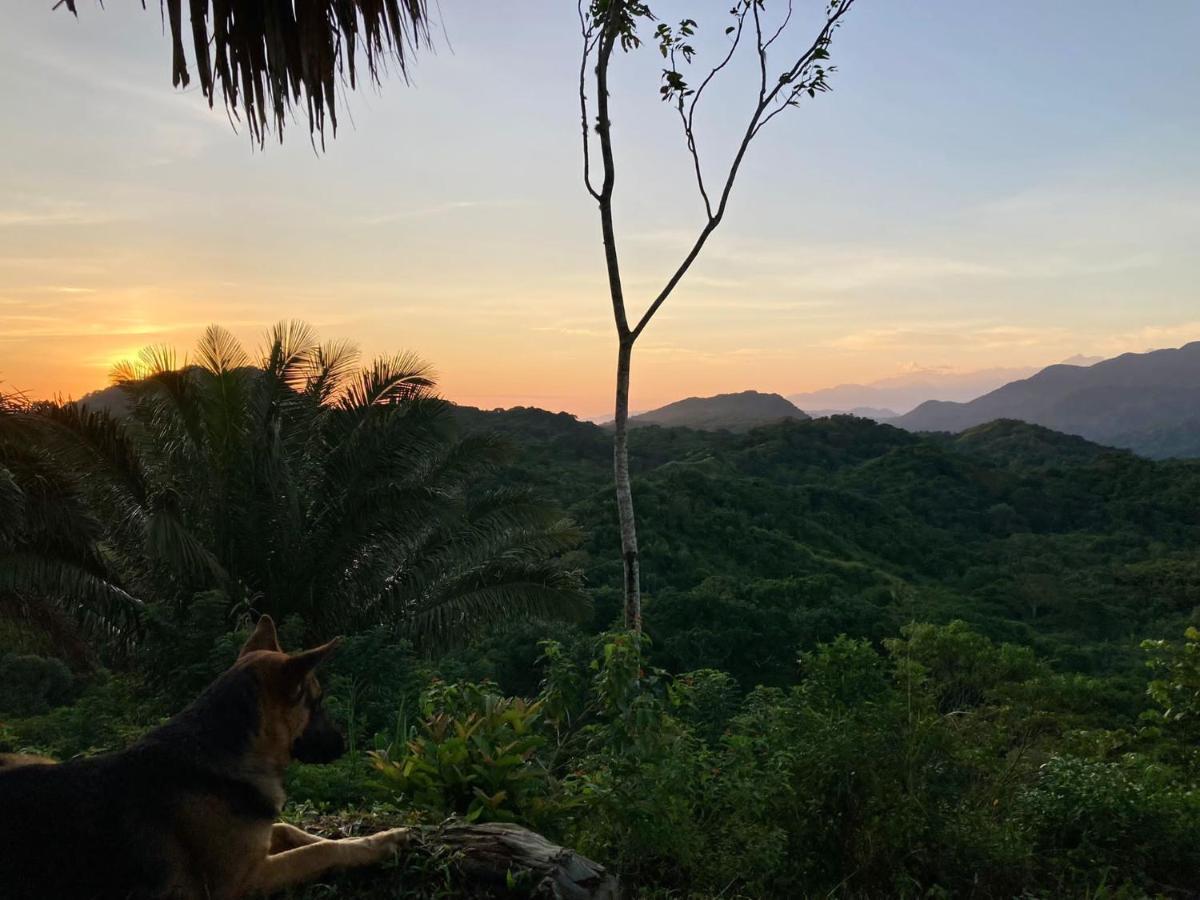 La Cima Tayrona 호텔 산타마르타 외부 사진