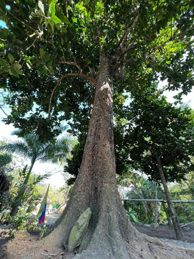 La Cima Tayrona 호텔 산타마르타 외부 사진