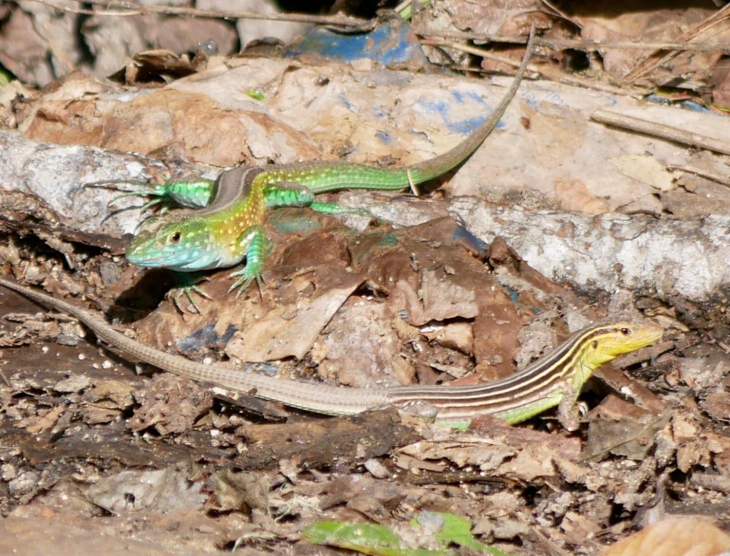 La Cima Tayrona 호텔 산타마르타 외부 사진